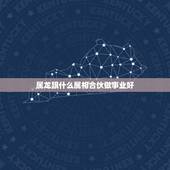 属龙跟什么属相合伙做事业好，属龙和属龙合作好不好