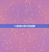 12生肖05月28日运势