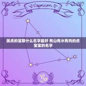 属虎的宝取什么名字最好 有山有水有肉的虎宝宝的名字