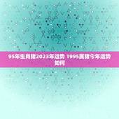 95年生肖猪2023年运势 1995属猪今年运势如何