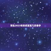想生2023年的虎宝宝几月备孕，2023年适合生宝宝的属相，生宝宝几月