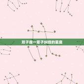 双子座一辈子纠缠的星座，能把双子座心偷走的星座