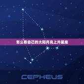 怎么看自己的太阳月亮上升星座 怎么看上升星座查询表