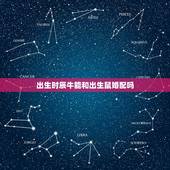 出生时辰牛能和出生鼠婚配吗，属牛元月份出生应配对几月份属鼠