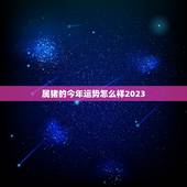 属猪的今年运势怎么样2023，今年属猪的财运和运气如何2023年
