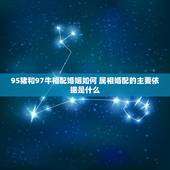 95猪和97牛相配婚姻如何 属相婚配的主要依据是什么