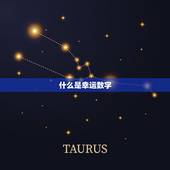 怎么查幸运数字是多少(轻松掌握幸运数字的方法)