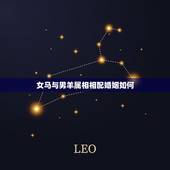 女马与男羊属相相配婚姻如何，生肖配对男羊女马婚姻好么