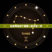 生肖鸡和这个属相一起天生一对，鸡与什么生肖相合相生