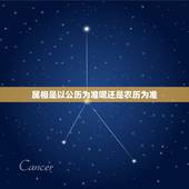 属相是以公历为准呢还是农历为准，所说的十二属相是以公历还是农历为准呢？