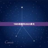 1985年属牛2023多大，85年属牛2023年运势