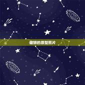 雄狮的原型照片，雄狮剧情