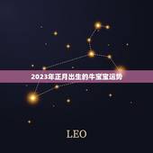 2023年正月出生的牛宝宝运势，2023年那个月出生的牛宝宝最好
