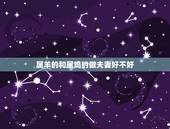 属羊的和属鸡的做夫妻好不好 属鸡的和什么属相最配