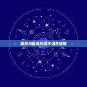 属虎与属兔的适不适合结婚