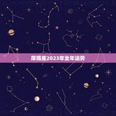 摩羯座2023年全年运势，摩羯座2023年运势详解