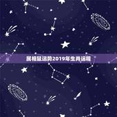 属相鼠运势2019年生肖运程，属鼠11月19日出生2016运势