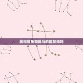 属相属免和属马的能配婚吗，属马和属兔的相配吗
