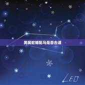 男属蛇婚配马是否合适，属蛇与属马相配吗？