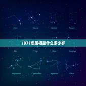 1971年属相是什么多少岁，1971年的是什么生肖