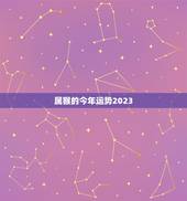 属猴的今年运势2023，1980年属猴今年运程
