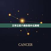 三字之后八相合是什么属相，127期大门四五自称旺，三字之后八相合，单数