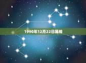 1990年12月22日属相，农历1990年12月22日午时生的属于什么