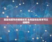 属鼠和属羊的婚姻状况 生肖鼠和生肖羊可以结婚吗