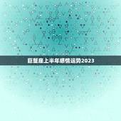 巨蟹座上半年感情运势2023