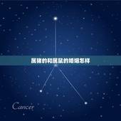 属猪的和属鼠的婚姻怎样，属猪女人和属鼠男人的婚姻如何