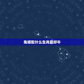 兔婚配什么生肖最好牛，牛和兔相配吗