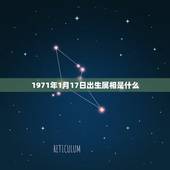 1971年1月17日出生属相是什么，1971年阳历1月17号是什么星座