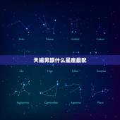 天蝎男跟什么星座最配，配不上天蝎的星座