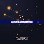 属龙和什么属相最配相克，属龙和什么属相是相冲的