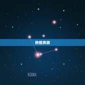 女白羊座的性格是什么(热情奔放勇往直前)