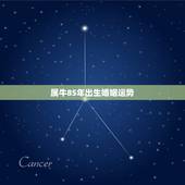 属牛85年出生婚姻运势，85年出生属牛的女人对婚姻与家庭