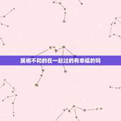 属相不和的在一起过的有幸福的吗，属相不合但家庭过得幸福的有没有