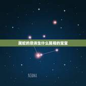 属蛇的忌讳生什么属相的宝宝，属蛇男和什么生肖配对吗？