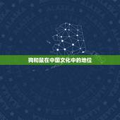 狗和鼠在一起有财运吗(介绍狗鼠同处的财富奥秘)