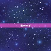 透2023年，舍得酒业2023年走势分析预测