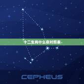 十二生肖什么命对照表，十二生肖都是什么命