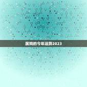 属狗的今年运势2023，2023属狗的全年运势