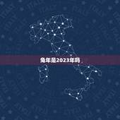 兔年是2023年吗