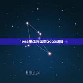1988年生肖龙男2023运势