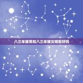 八三年猪男和八三年猪女婚配好吗，属猪的八三年男的和八一年女的婚烟好吗