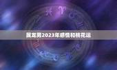 属龙男2023年感情和桃花运，76年属龙人桃花劫是谁