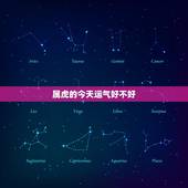 属虎的今天运气好不好，属狗的今天运气好不好