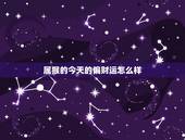 属猴的今天的偏财运怎么样，属猴的今天财运怎么样