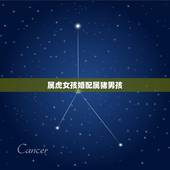 属虎女孩婚配属猪男孩，属虎男和属猪女婚姻相配吗