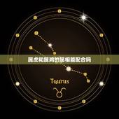 属虎和属鸡的属相能配合吗，属虎和属鸡的合不合